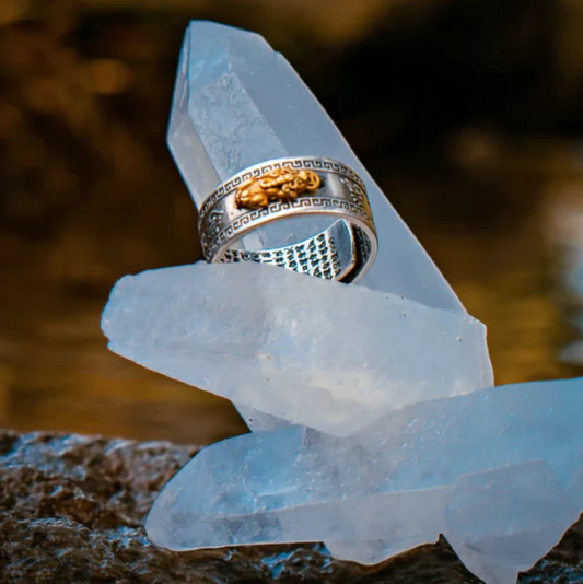 Anillo Feng Shui de la riqueza y abundancia