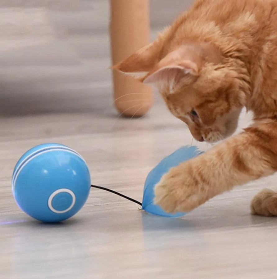 Juguete Para Gato
